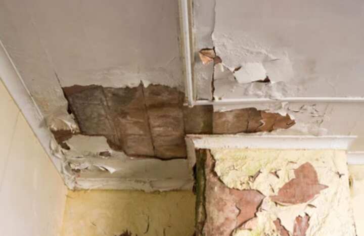 BUCHANAN COUNTY PRO REMEDIATION Saint Joseph, MO (816) 312-4952